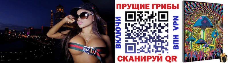 Галлюциногенные грибы Psilocybe  Купить где  Карабаново 