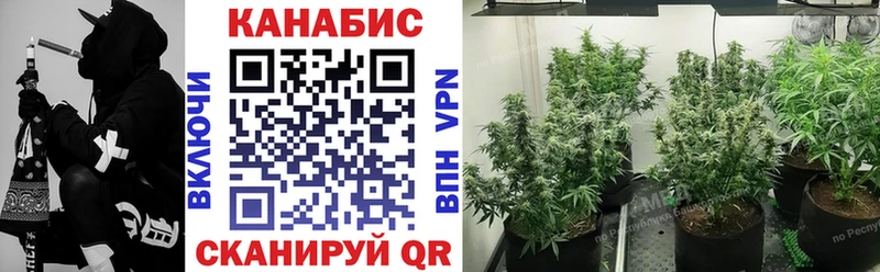 Конопля SATIVA & INDICA Карабаново